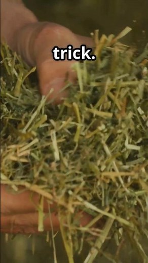 Turn Grass Clippings into Green Gold!