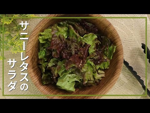 サニーレタスのサラダ