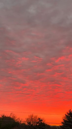 26 reactions | Incredible sky before sunrise this morning! | Backyard Astronomy Guy | Facebook