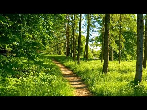 Aakash Gandhi Music Pack (3rd Anniversary Special, 23 Minutes)