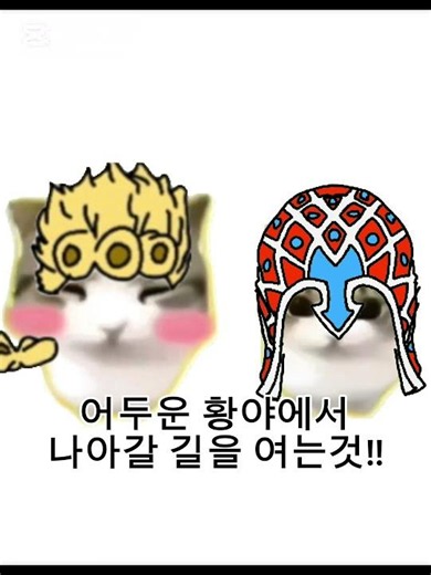 미스타의 담 담 디디디디 #죠죠의기묘한모험 #고양이밈