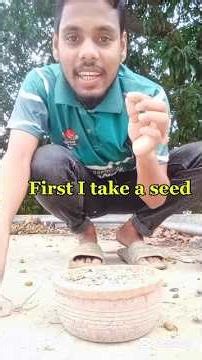 From Seed to Plant 🌱 | Learn Sequence Words in English