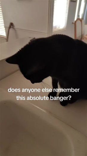 monster VS squid (@sniffleshifty)’s videos with This Is Not a Song, It's a Sandwich - Psychostick