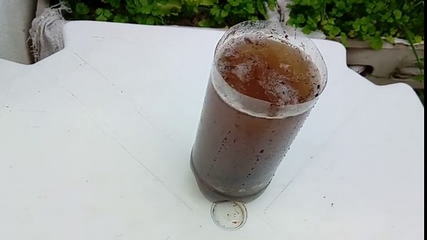 Como Curtir Esterco de Gado na Água em Apenas 10 Dias | Método Muito Rápido