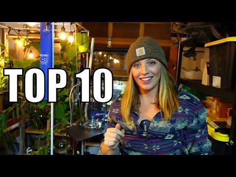 Top 10 Goodwill Thrift Store Aquarium Supplies