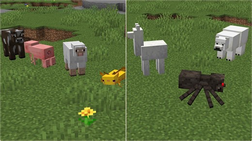 All real-life animals available in Minecraft