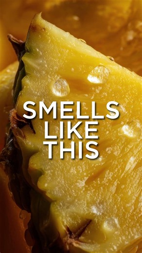 Smells Like Summer: Fragrances That Capture the Season #SummerScents #Scentsy #ScentsyFragrance