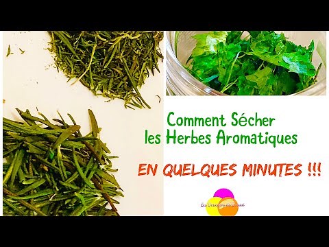 Dehydrate aromatic herbs yourself!