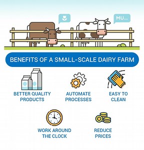 Milk Processing Equipment for Small-Scale Dairy Farm