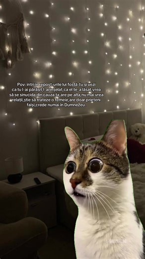 #Meme #MemeCut #fyp #goviral TikTok