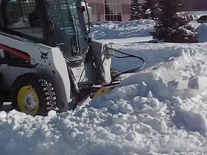 96K views · 191 reactions | A sight for sore eyes! These days are just around the corner.... | SnowWolf | Facebook