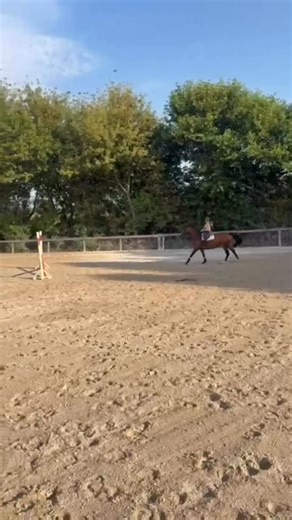 Kirsten Crawford on Instagram: "Happy Monday everyone! What is easy one direction might not always be that easy the other way. Emma and Izzi nailed the bounces to the right the other day. The left was a work in progress, starting on a curve is way different. This is why we love exercises like this. They are small and seem simple, but they definitely make you have to work for each little step. Always remember that when you have things to work on you will always keep learning. Three steps forward 
