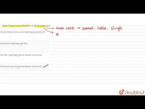 Three fundamental characters of all chordates are | 12 | CHORDATA- PROTOCHORDATA | BIOLOGY | DI...