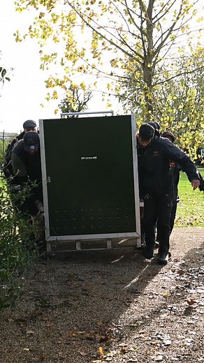 282K views · 3.3K reactions | We Have Some Exciting News! A critically endangered new arrival has recently joined us at The Big Cat Sanctuary. Can you guess what species?  Stay tuned for a very special introduction tomorrow… 李 #thebigcatsanctuary #bigcat #animal #wildlife #conservation #endangered | The Big Cat Sanctuary | Facebook