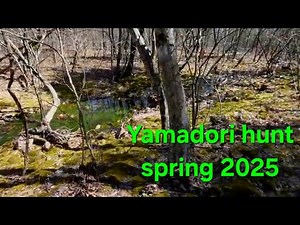 Yamadori Hunt spring 2025