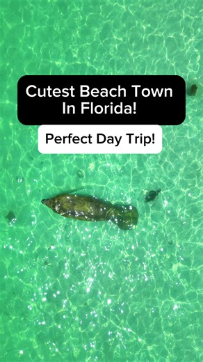 Venice is the CUTEST beach town in Florida and makes for the perfect day trip! Just 90 minutes south of Tampa on Florida's southwest coast. Have you ever been? #florida #floridalife #visitflorida #venice #beach #beachlife #southwestflorida #floridavacation #floridacheck #thingstodoinflorida #hiddengems #lovefl #usatravel #daytrip #thingstodo #venicebeach #itinerary #bucketlist #beach #cutetown #sharkteeth #beachtown