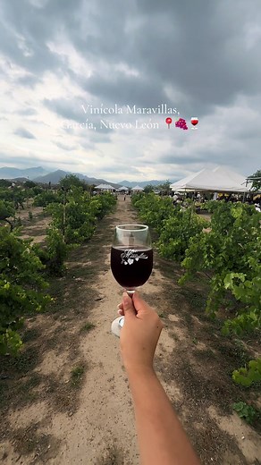 Descubre Vinícola Maravillas en García, Nuevo León