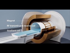 Introduction to MRI Safety
