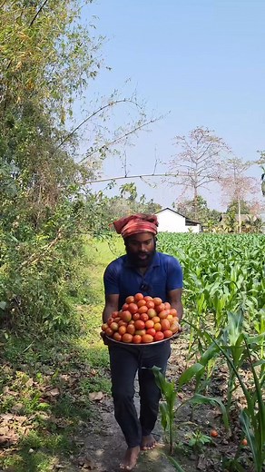 400K views · 4.3K reactions | শুটকি মাছ দিয়ে সুস্বাদু টমেটো মাখা  | Swarup Talukdar | Facebook