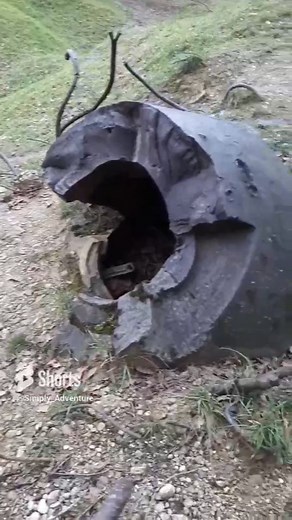 😟 Destroyed tank dome found! . #ww1 #ww1battlefields #ww1relics #ww1trenches #historisch #historical #history #ww1history #lostplace #darkplaces #military #militarylostplace | Christian Böhm