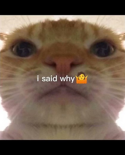 i swallowed shampoo... probably gonna die-