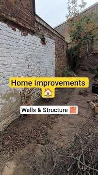 wall joint renovations 🧱