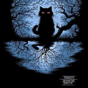 Toxicity Revived The Dead Cat