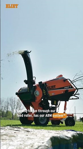 The ELIET Prof 6 shredder #eliet #shredder