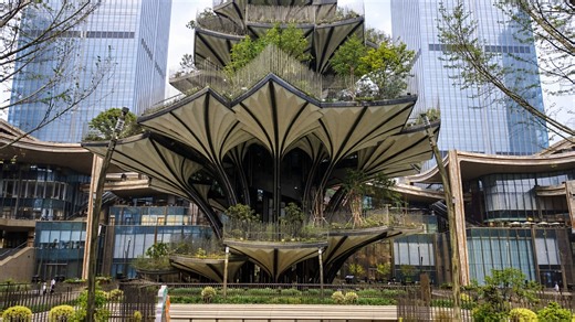 Chengdu, China unveils a living tree structure