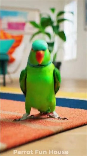 parrot dance #talkingparot