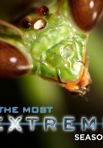 The Most Extreme - streaming tv show online