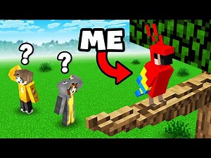 Playing Hide and Seek as Mobs in Minecraft!