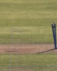 146K views · 778 reactions |  Blistering run-outs! Which was your favourite? ⬇️ | England Cricket | Facebook