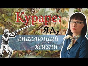 Путь охотничьего яда из джунглей в медицину