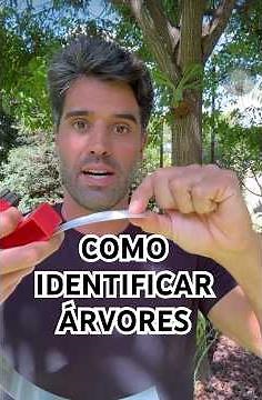 The best way to identify my trees!