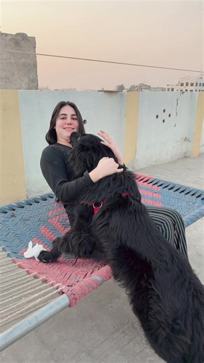 Celebrating My Blackiiii 🖤🐕‍🦺