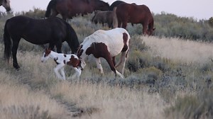 368K views · 20K reactions | I've been so busy this week with other...