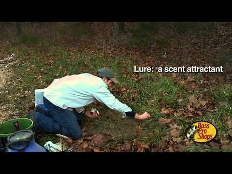 Deer Management: Trapping Predators , Tips and Techniques (#159) @GrowingDeer.tv