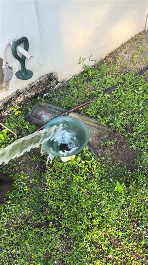 Easiest and cleanest dog waste management system.