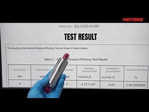 Ultra-High Efficiency Confirmed: HENGKO Inline Filters Deliver 9N Purity Protection