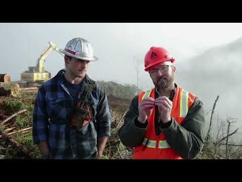 Manley Jobs: Cable Yarding part 2