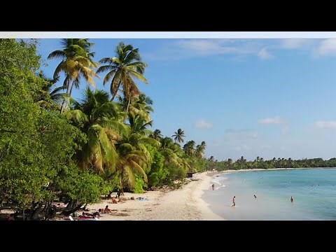 Grande Anse des Salines, (Plage des Salines) Les meilleurs voyages en Martinique 4K