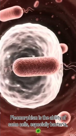 Why Do Some Cells Change Shape? 🤔 | Pleomorphism Explained ..!!