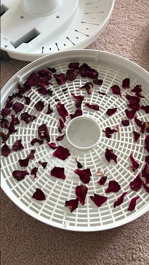 Using a dehydrator to dry rose petals