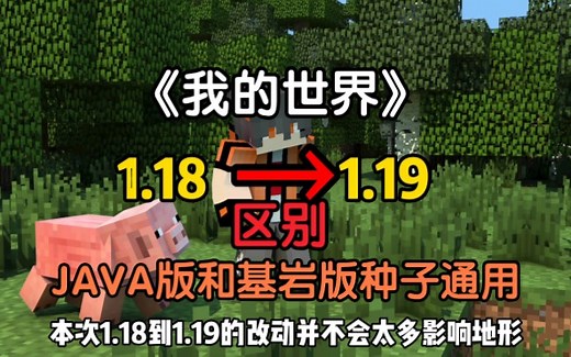 我的世界篇－1.18和1.19区别，JAVA版和基岩版种子通用？