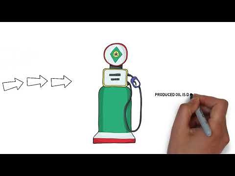 Net Oil Computing Following API Standard Calculation