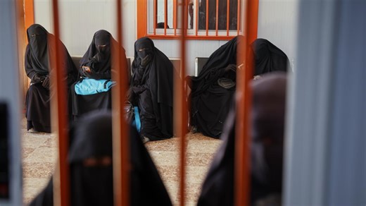 Brides of ISIS ask PM to let them back in