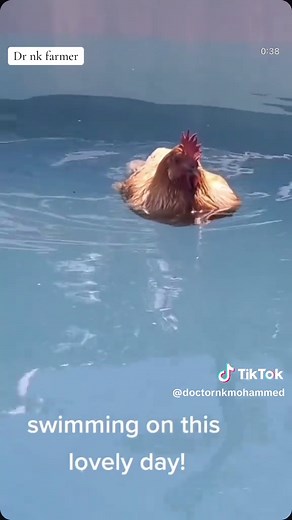 Doctor nk#fypシ゚viral🖤tiktok☆♡🦋 #viralvideos #fypシ゚ #doctornkmohammed #fypviralシviral #foryoupageee #fypppppppppppppppppppppp #viral #doctornk1 #foryoupage #fyp #doctornk