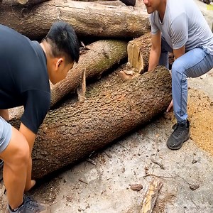 8.2K views · 85 reactions | Step By Step Instructions For Building A Table From A Dry Tree Trunk | WT Team Woodworking | Facebook