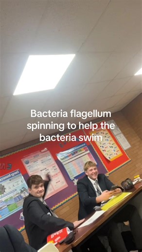 How Bacteria Use Flagella for Swimming